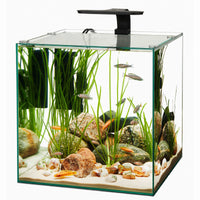 Aqueon Frameless Glass Aquarium Kit