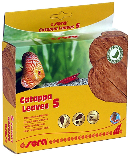 Sera Indian Almond Catappa Leaves Sm 10pk
