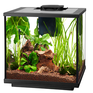 Aqueon Shrimp Aquarium Aqueon LED Shrimp Aquarium Kit