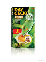 Day Gecko Food