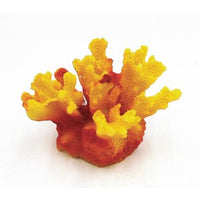 Aqua-Fit Staghorn Coral 2x2x1.75”