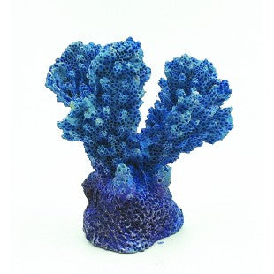 Aqua-Fit Colt Coral 2x1.5x2”